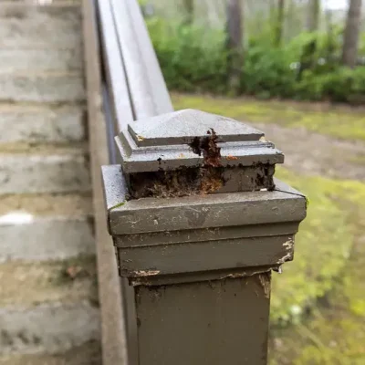 chalet-suedois--230203-170952_800px