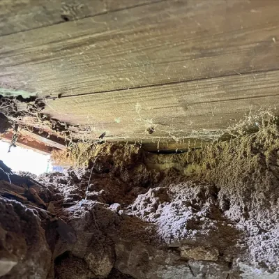 chalet-suedois--241205-191939_800px-3